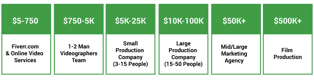 Video Company Types